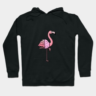 Ballet Flamingo Hoodie